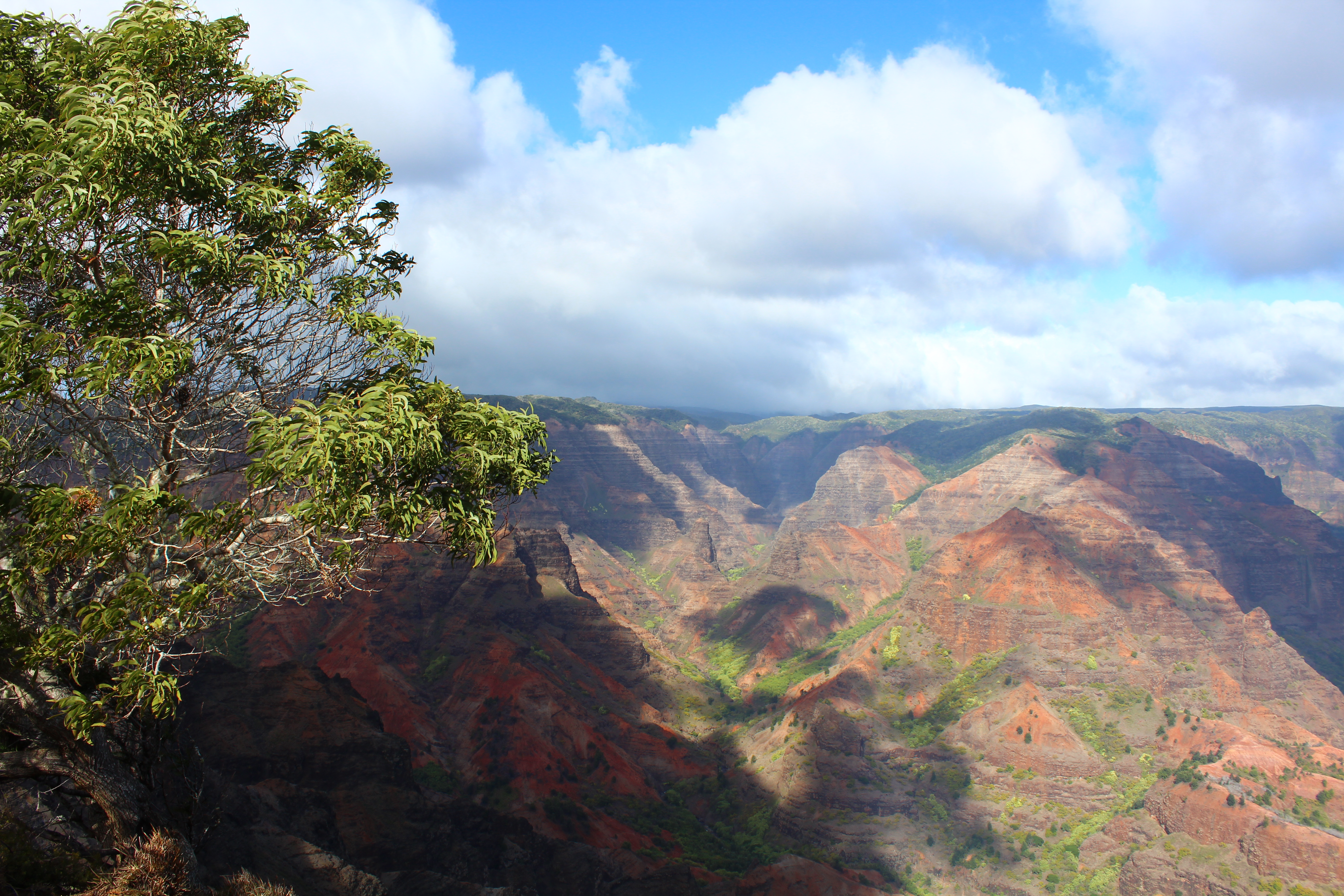 Waimea Canyon’s grand panoramic view, often called the Grand Canyon of the Pacific.